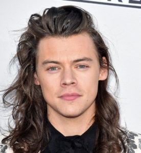 Harry Styles Wiki, Bio, Age, One Direction, Net Worth, Instagram, Salary