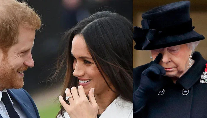 Prince Harry and Meghan Markle have been chastised for their ‘rude’ treatment of Queen Elizabeth, Prince Charles, and Prince William.